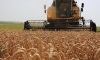 Rusya ile tarım ürünlerinde anlaşma yakın