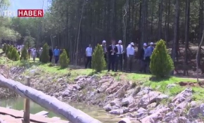 Hacettepe Üniversitesi'nden 'Hacettepe Yürüyor' etkinliği