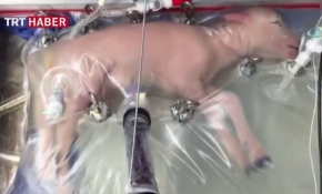 Anne rahmini taklit ettiler