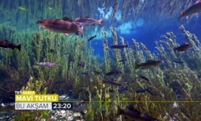 Mavi Tutku bu akşam 23.20'de TRT Haber ekranlarında