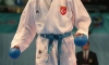Millilerden Avrupa Karate Şampiyonası'nda altın madalya