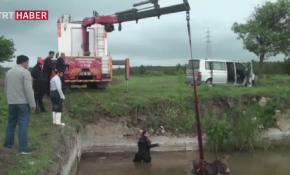 Yabani hayvanlardan kaçan eşek havuza düştü