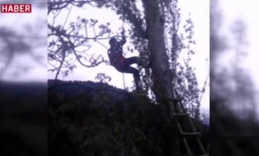 Ağaç budamak istedi, ağaçta mahsur kaldı