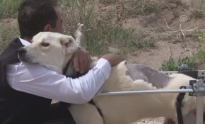 Kostak yeni yürütecine kavuştu