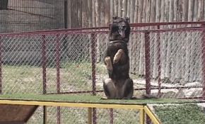 Oyun oynayarak öğreniyorlar