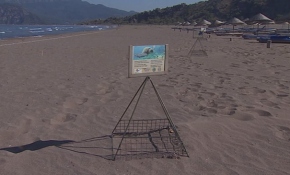 'Deniz Kaplumbağaları Müzesi'