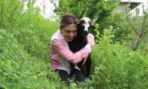 Gözleri görmeyen kınalı kuzuya yoldaş oldular