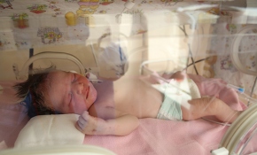 En yüksek doğum oranı hangi ilde?