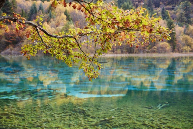 5. Çin - Jiuzhaigou Vadisi Milli Parkı