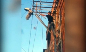 Güvercini kurtarmak için canını hiçe saydı