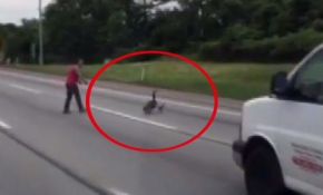 Otobanda bir kaz ailesi görünce...