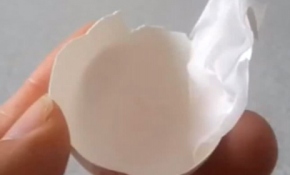 Kireçlenmeye 'yumurta kabuğu zarı'