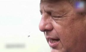 Konuşurken arıyı yuttu