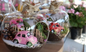 Evlerin 'mini bahçeleri'i