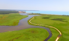 Büyüleyen güzellik İğneada longozları