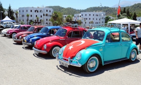 Rengarenk tosbağalar Kemer sokaklarında