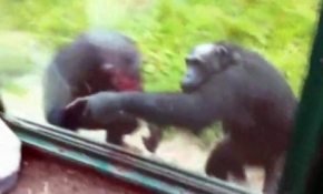 Bu hareketi hem şaşırttı hem güldürdü