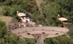 Bunun dünyada örneği yok