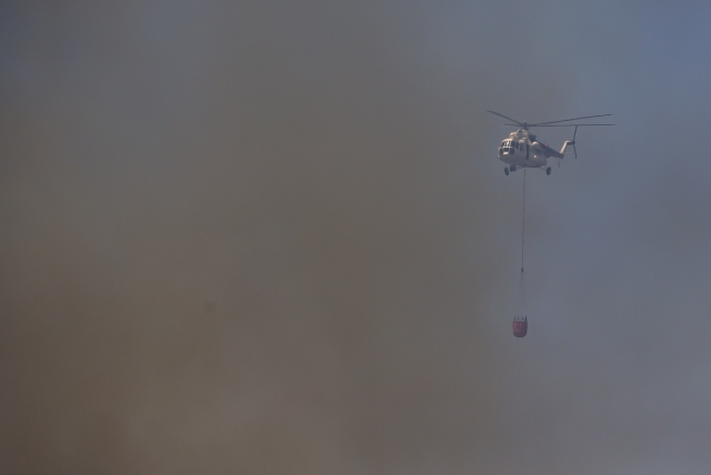 İzmir`deki orman yangını