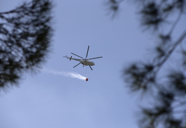 İzmir`deki orman yangını