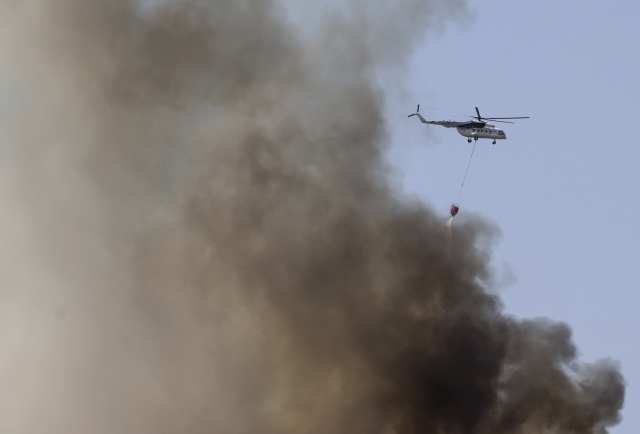 İzmir`deki orman yangını