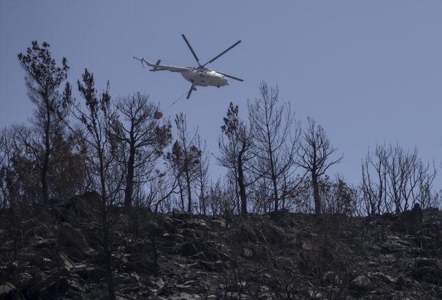 İzmir`deki orman yangını