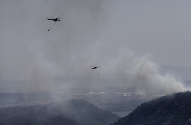 İzmir`deki orman yangını