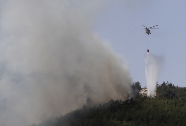 İzmir`deki orman yangını
