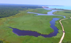 İğneada Longoz Ormanları havadan görüntülendi