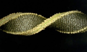 Türk bilim insanları giyilebilir sensör teknolojisi geliştirdi