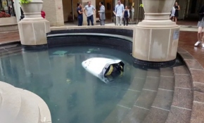 İlk robot intiharı