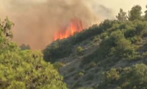 Fransa'nın ciğerleri yanıyor