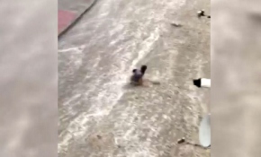 Sel sularına kapılan kişi böyle sürüklendi