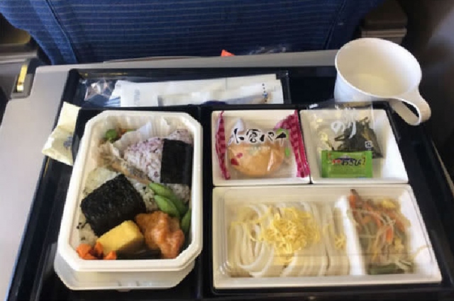 11. ANA Hava Yolları