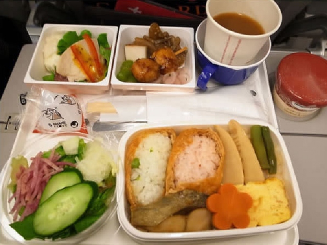 15. Japon Hava Yolları