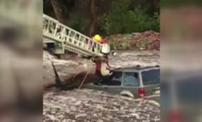 Köpek kurtarma operasyonu