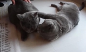 Hamile eşine gözü gibi bakıyor