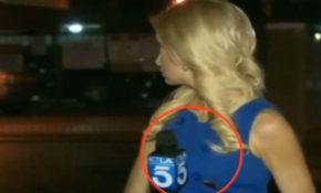 Kadın muhabir üzerinde hamam böceğini görünce!