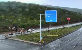 Akıl almaz kazalar MOBESE'de