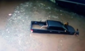 Kocaeli'de şiddetli yağış ağaçları devirdi