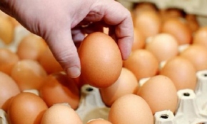 Zehirli yumurta İtalya'da da çıktı