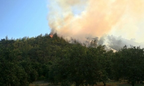 Antalya'da orman yangınına havadan ve karadan müdahale ediliyor