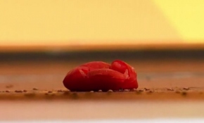 Merkel'e domatesli protesto