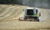 Yağışlar buğdayda rekolteyi yüzde 10 artırdı