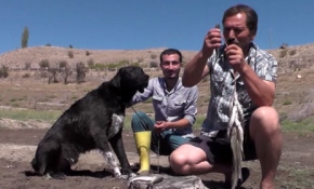 Bu köpek her gün 2 kilo balık tutuyor