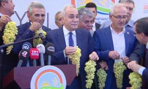 'Ayran kadar üzüm suyu da milli içeceğimizdir'