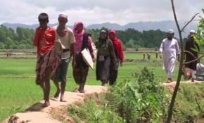 Bangladeş'e sığınan Arakanlıların sayısı 370 bine ulaştı