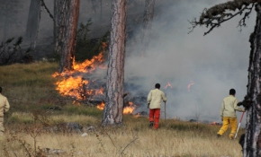 Orman yangınları kontrol altına alınamıyor