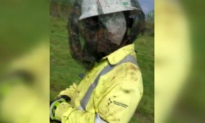 Teksas'ı şimdi de sivrisinekler vurdu