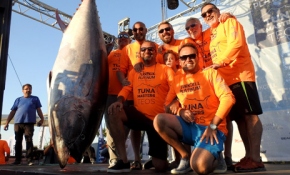 Oltayla 295 kiloluk orkinos yakaladılar